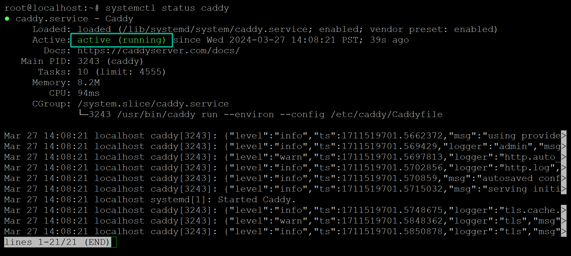 Verifying the Caddy web server status 