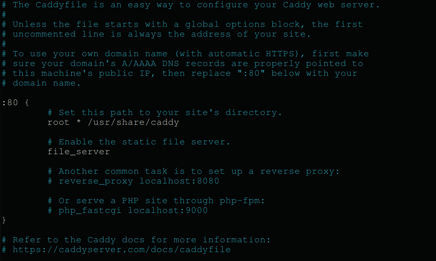 Opening the Caddyfile 